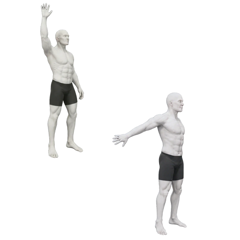 Example image of a man doing a shoulder flexion and a shoulder extension task