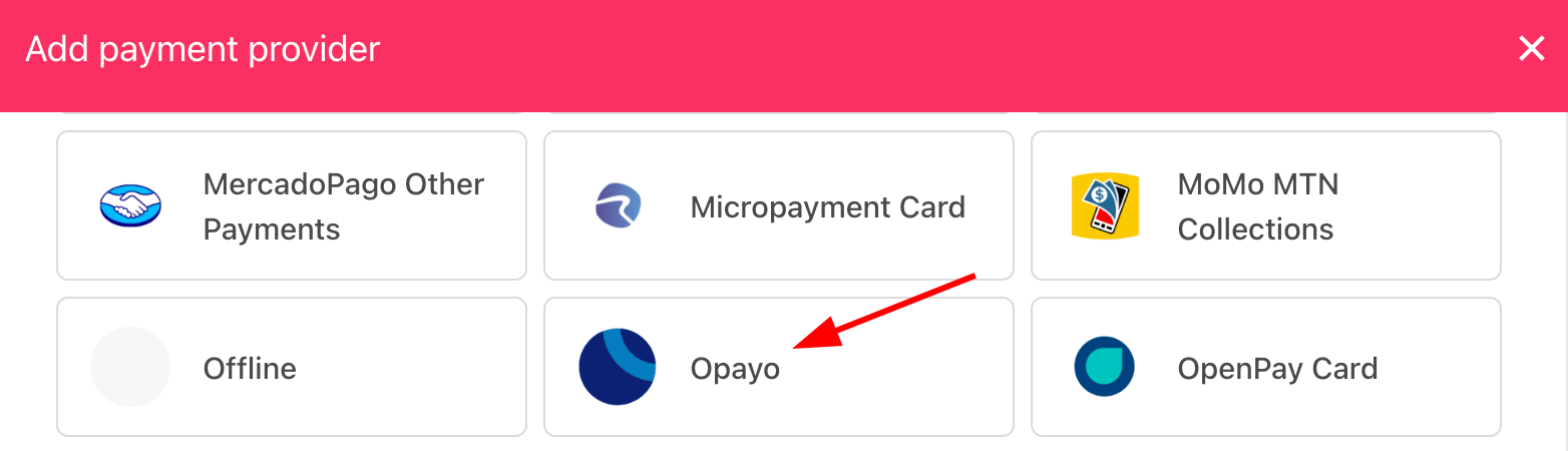 Select payment provider