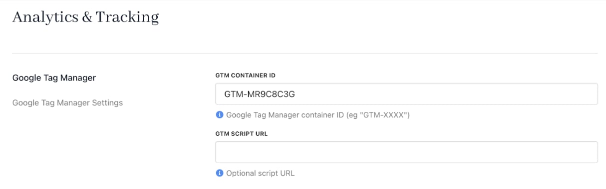 Google Tag Manager settings