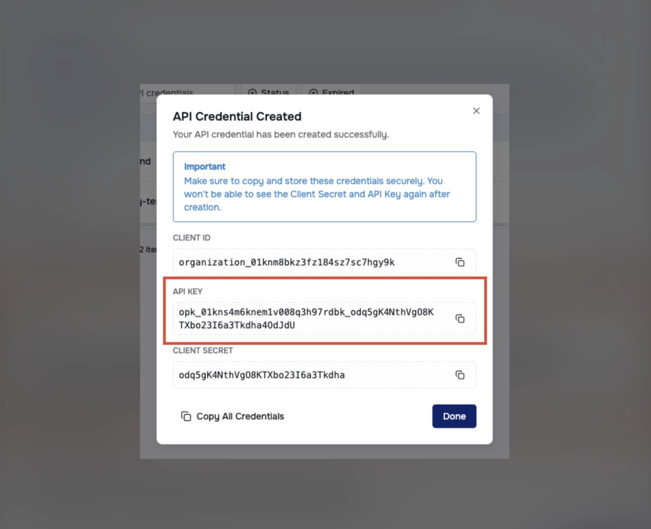 Copy API key