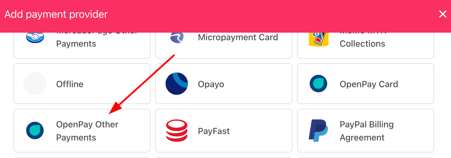 Select payment provider