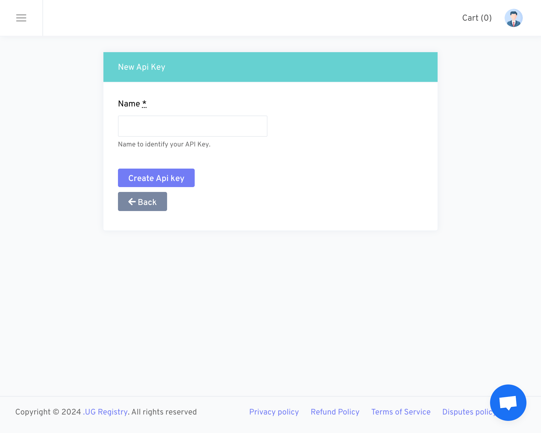 New API Key