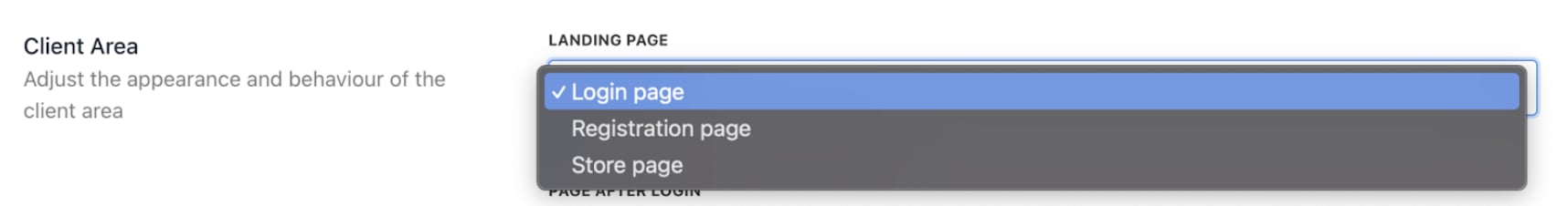 Landing page options