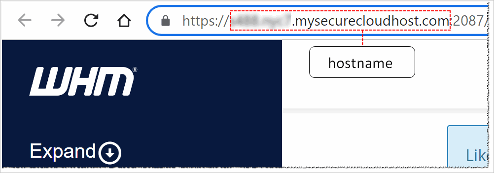 WHM hostname