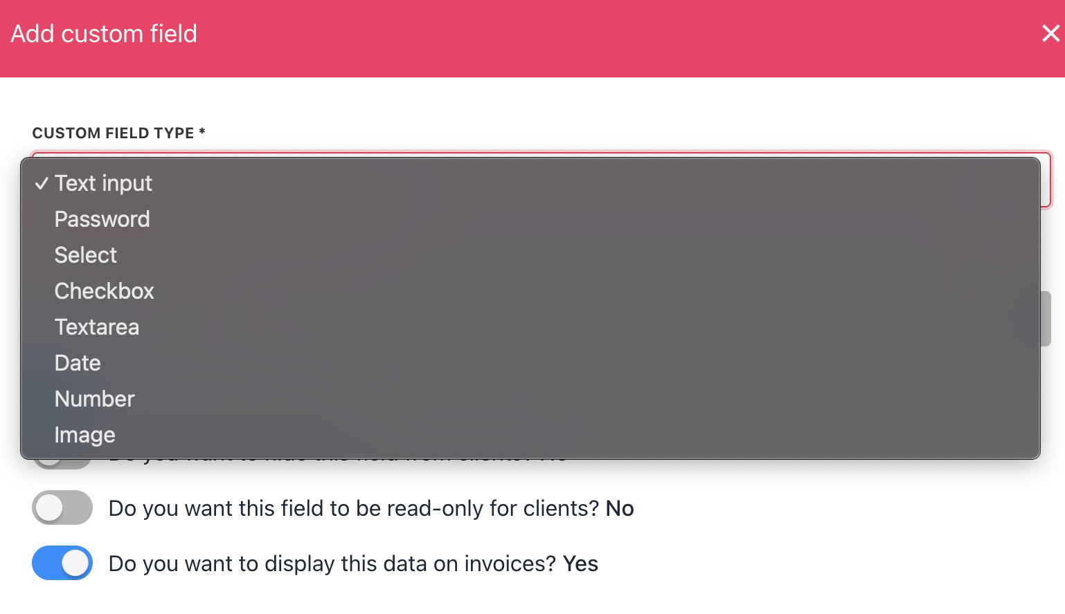 Custom field options