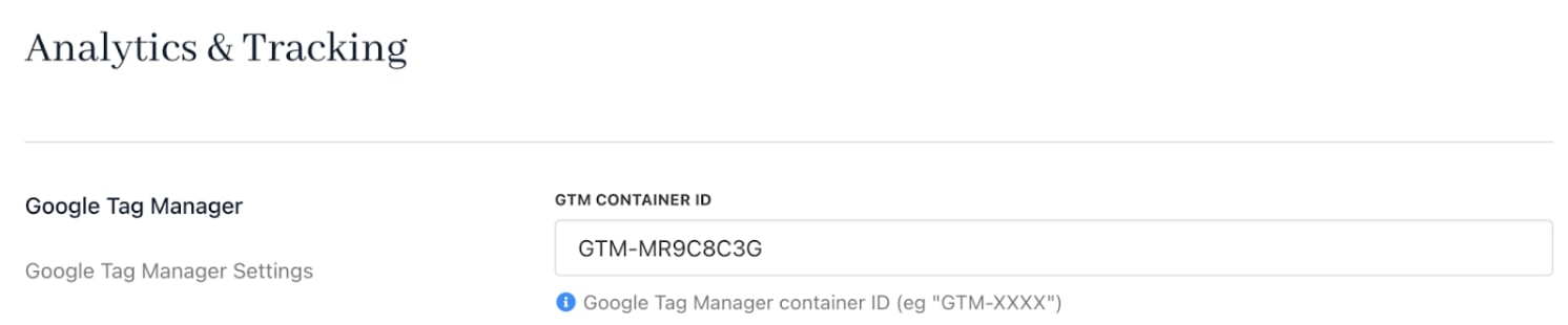 Paste the GTM Container ID