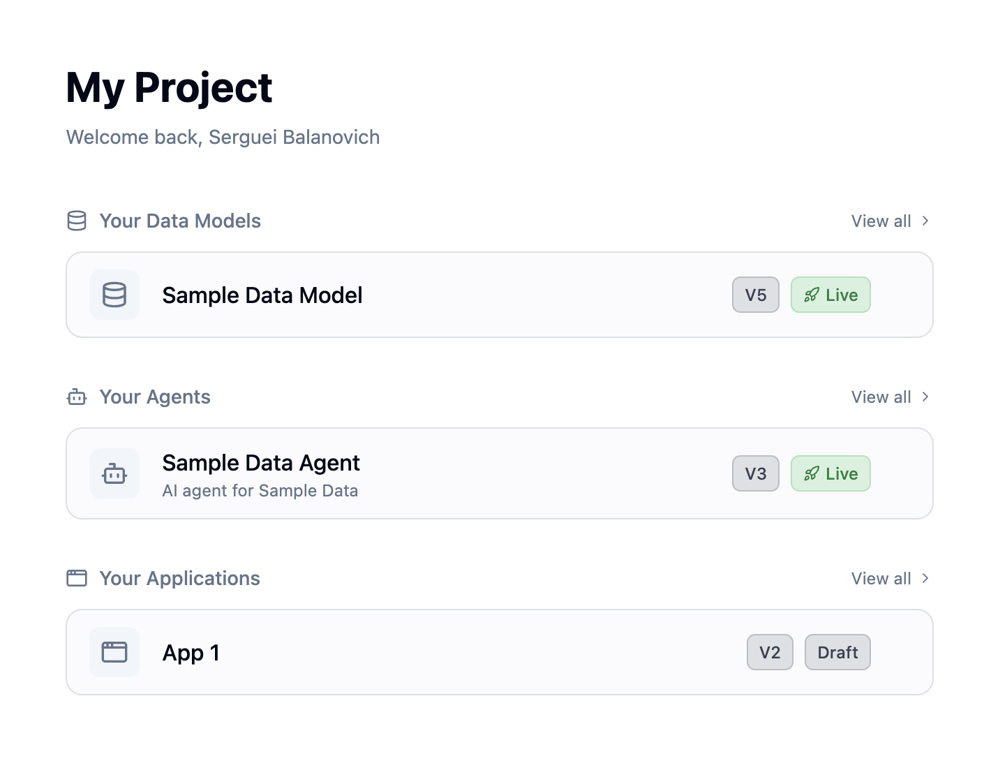Project overview showing connections, data models, and applications