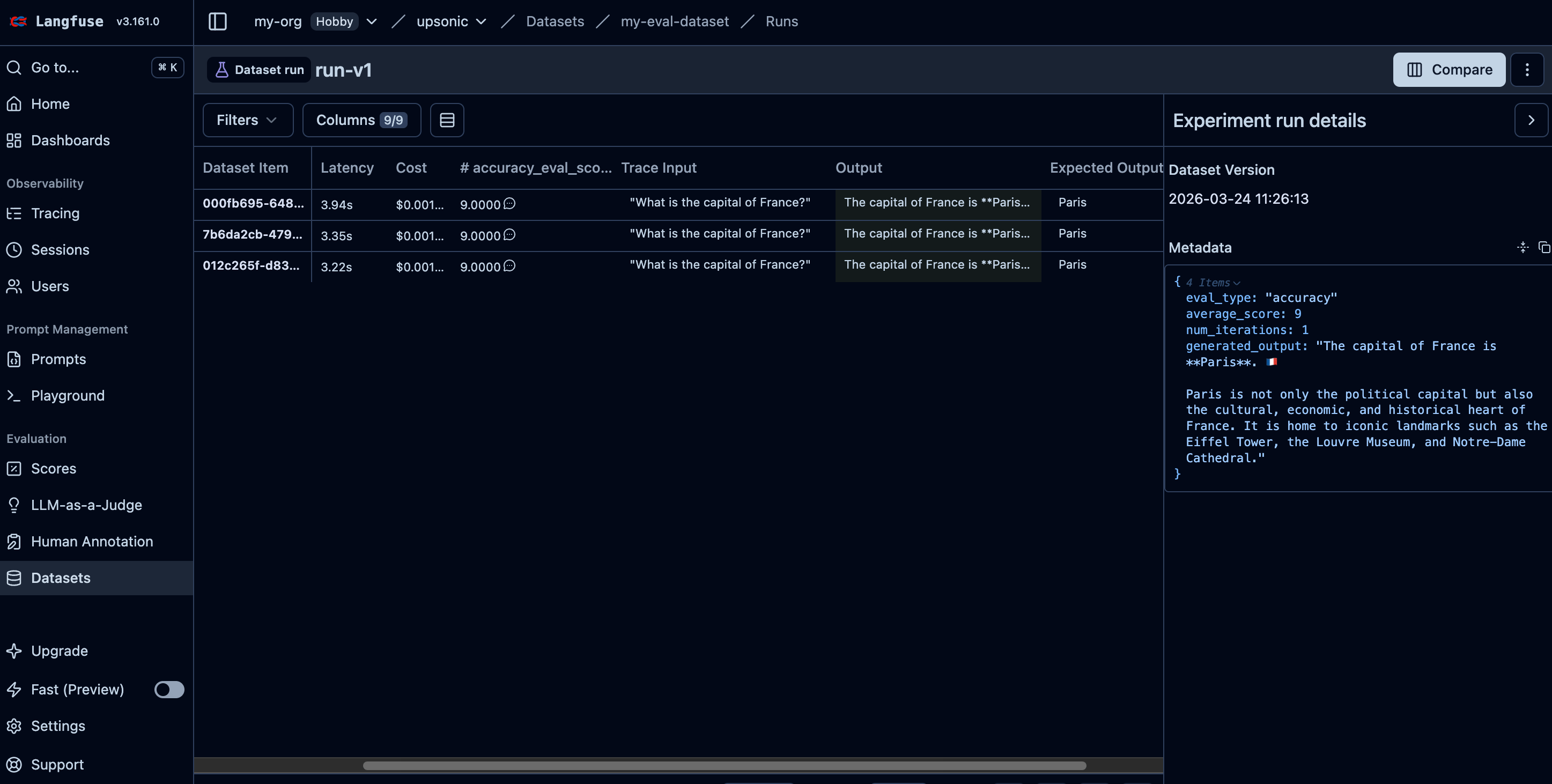 Langfuse dataset detail with items and run results