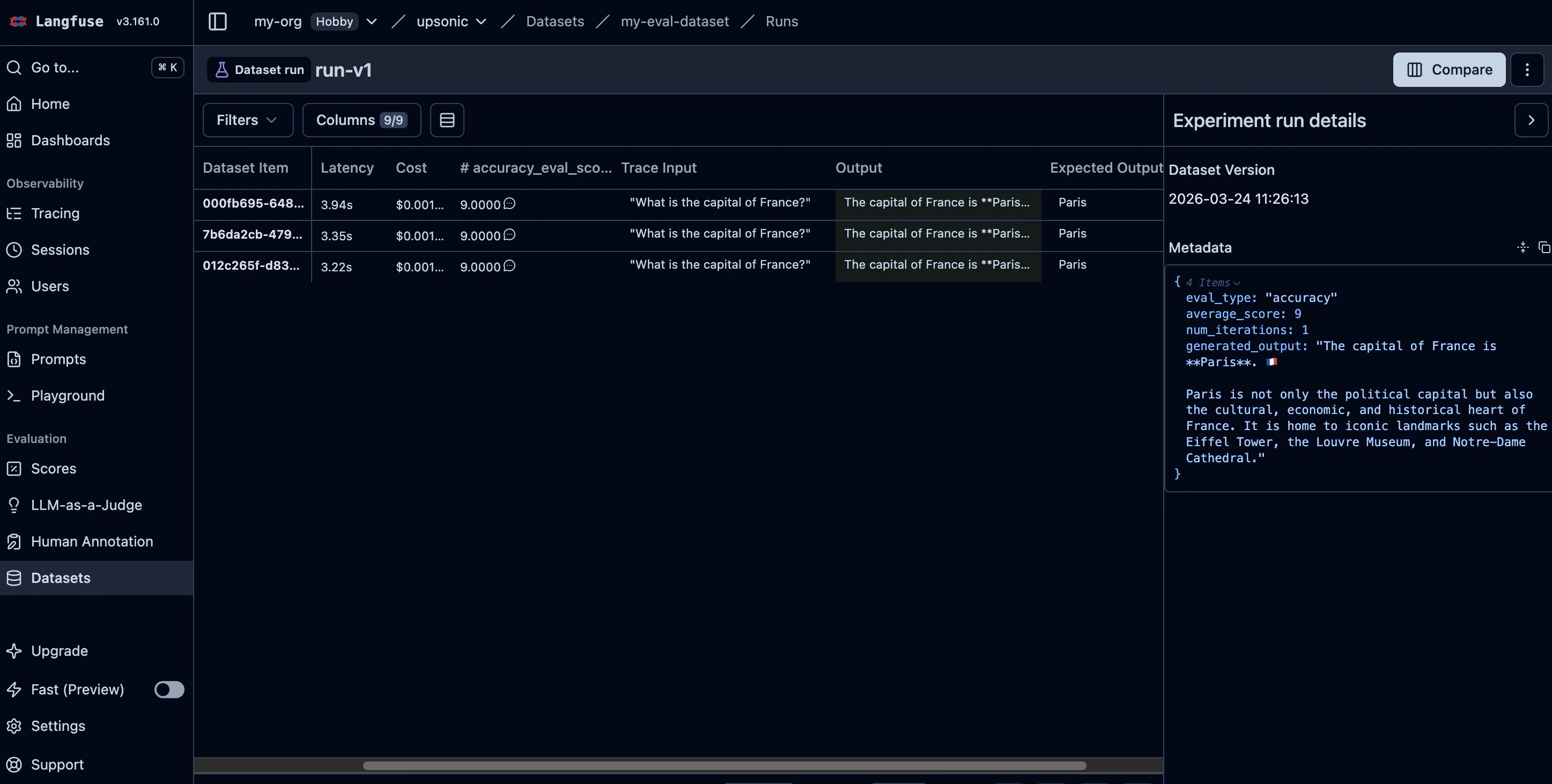 Langfuse dataset detail with items and run results
