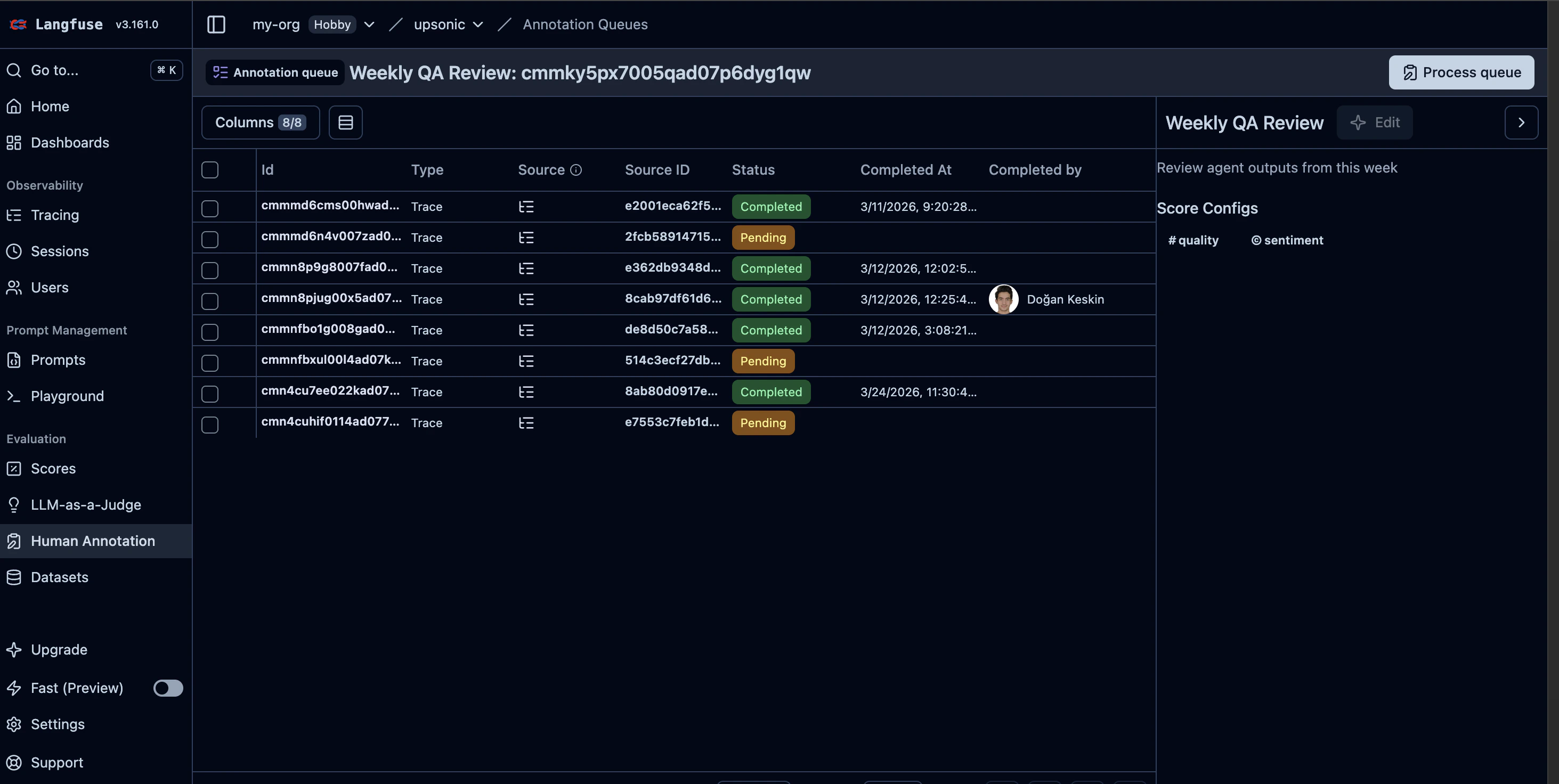 Langfuse annotation queue item detail