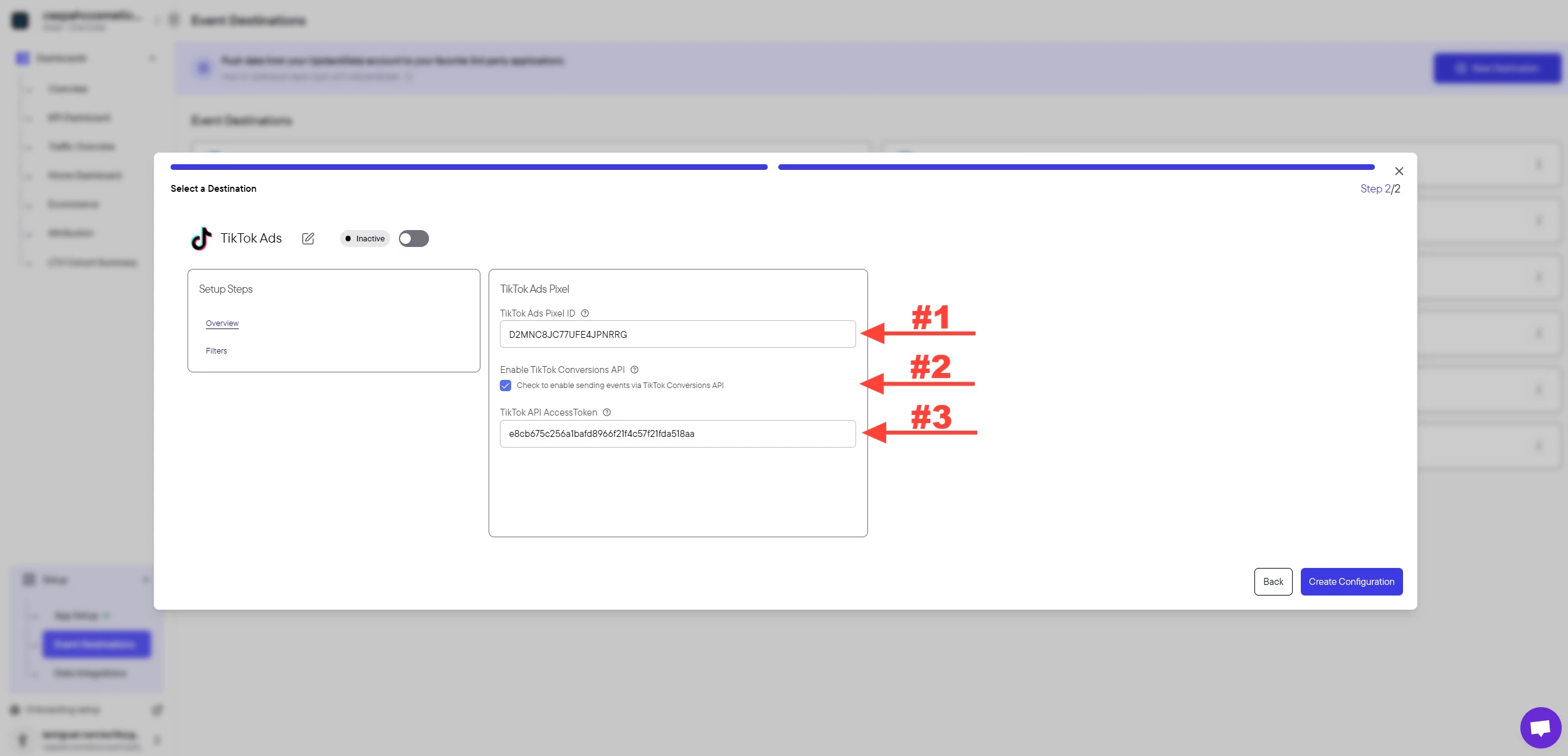 Image: TikTok configuration form with both fields