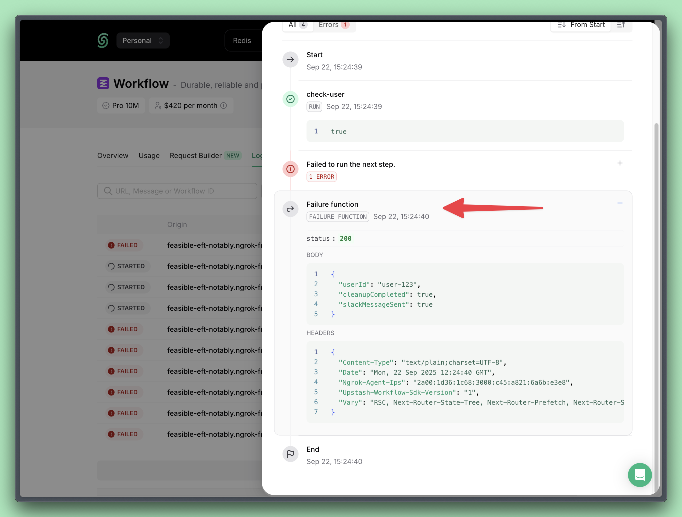 Workflow failure function execution