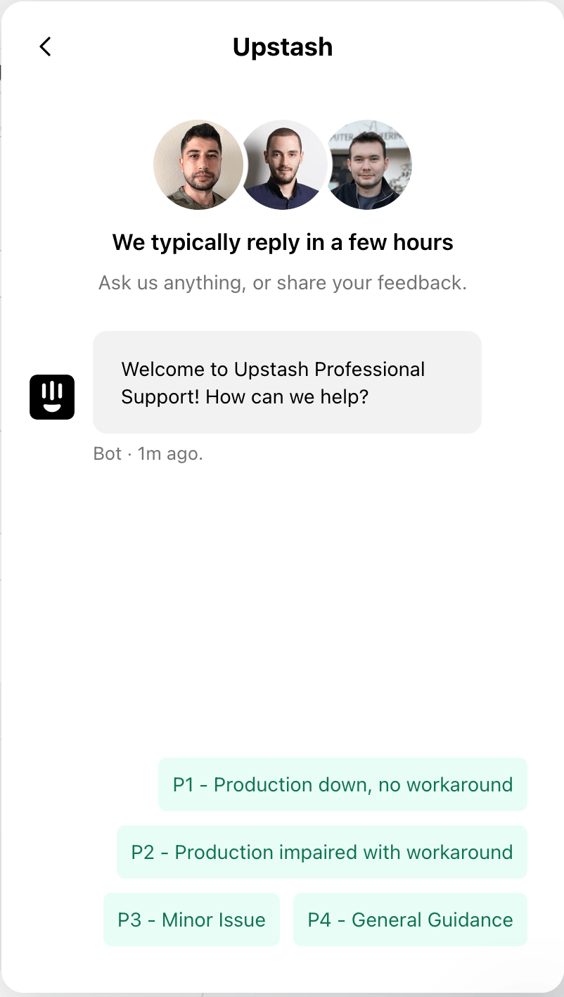 Start a professional support chat