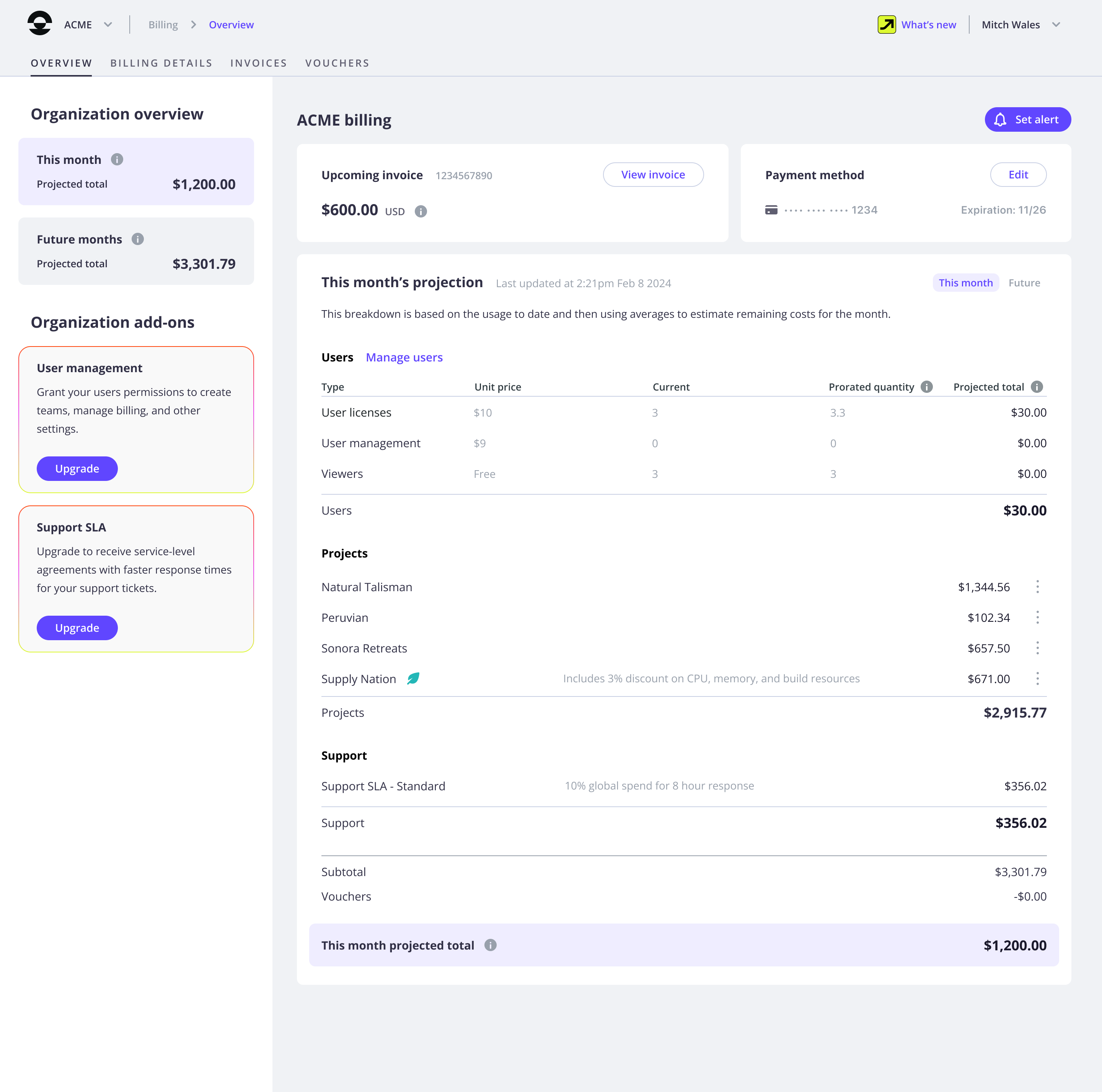 Organization billing information in the Overview tab