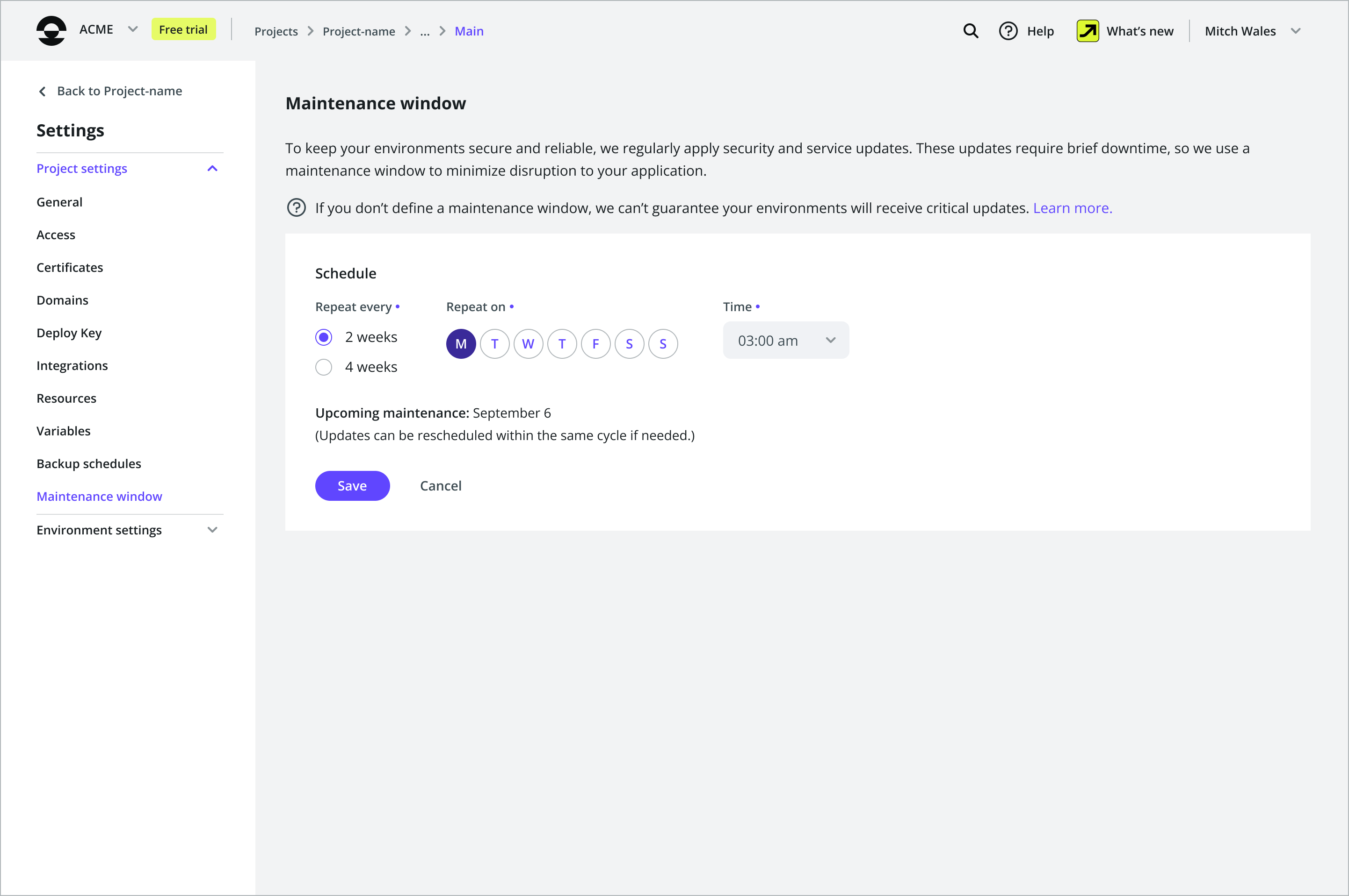 Maintenance window in Project settings