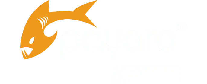 Payara Micro