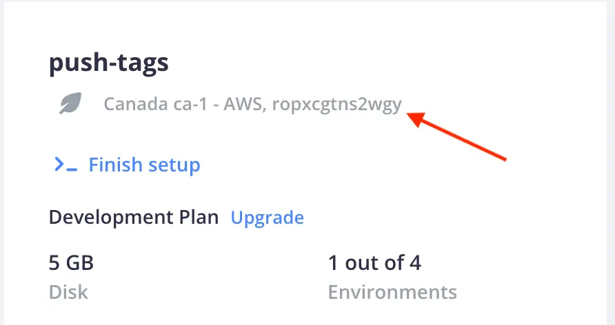 Getting the PRoject ID in console