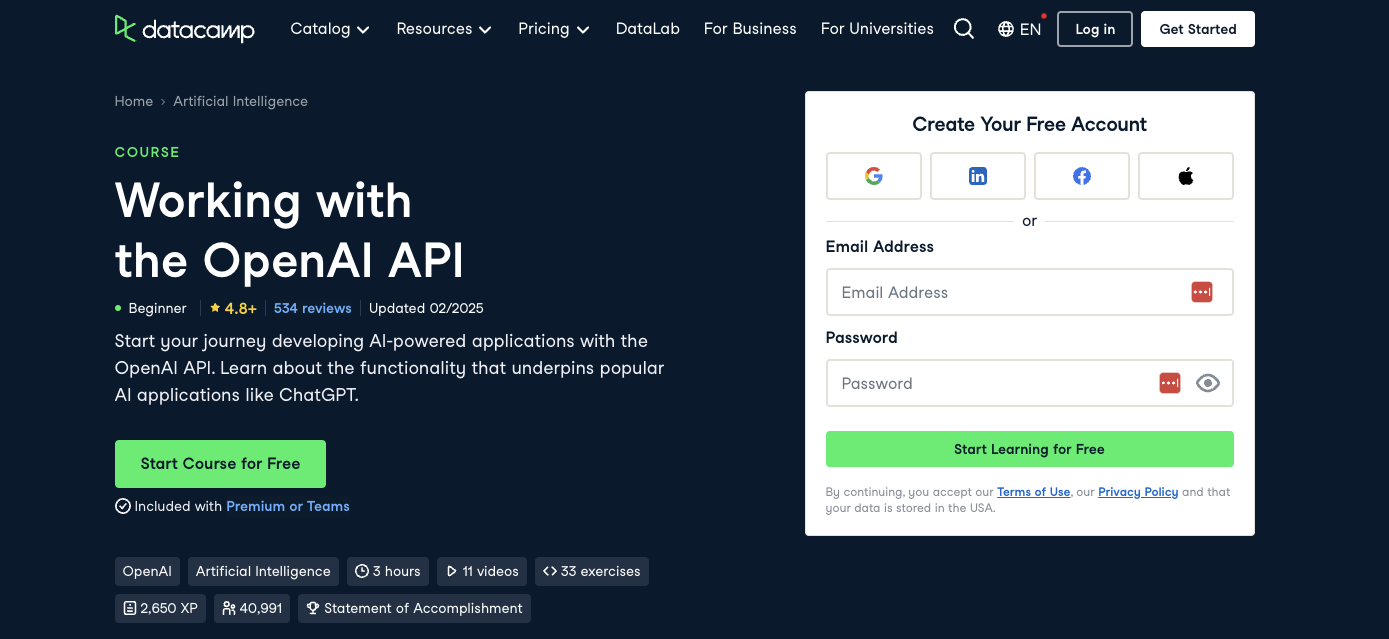 Working with the OpenAI API