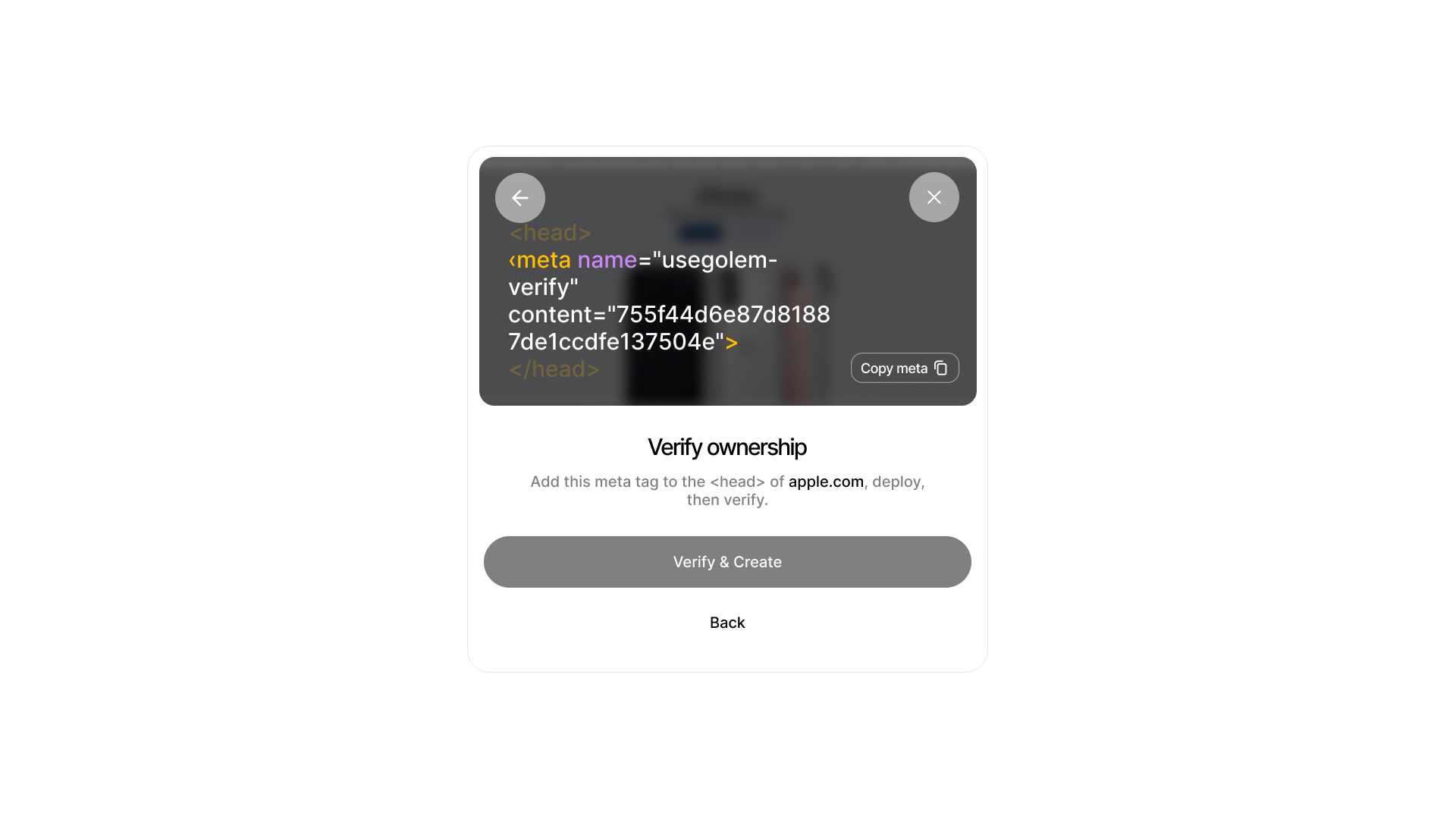 New App form and domain verification screen