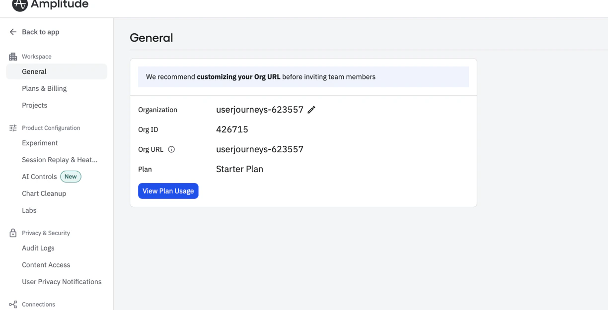 Amplitude Organization settings page showing Projects in the Workspace sidebar