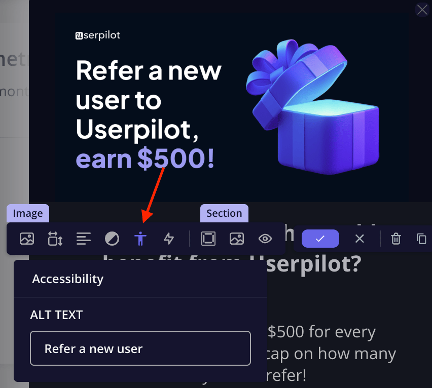 Image accessibility panel with an alt text field