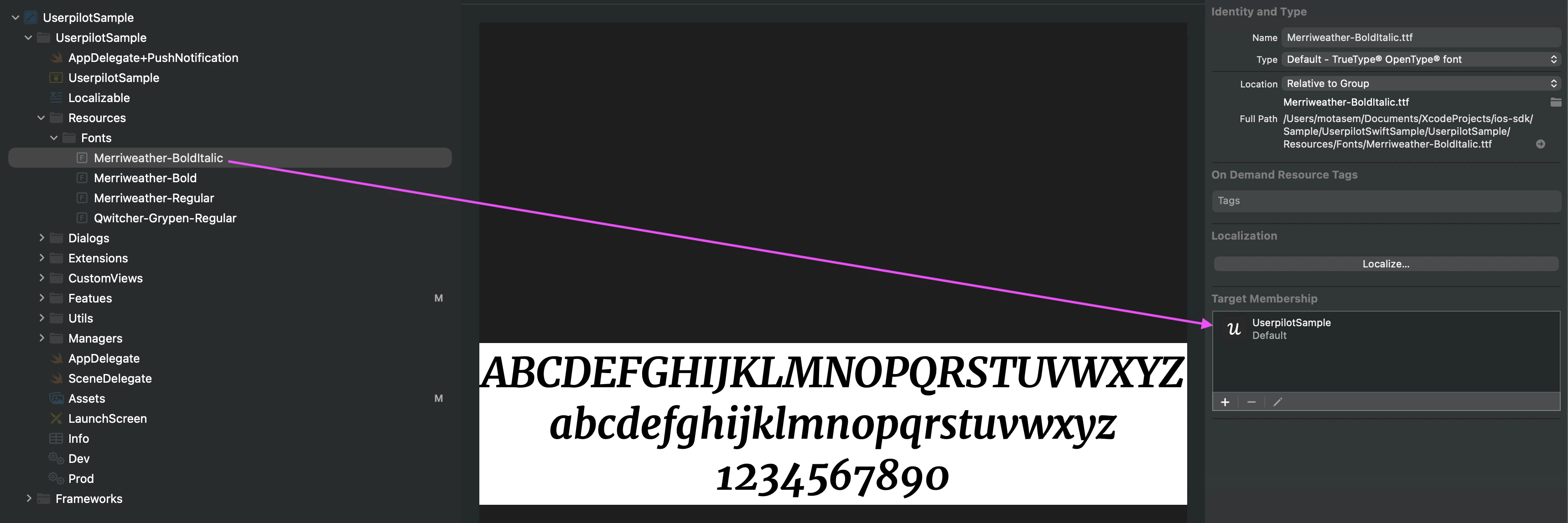 Font files are included in the app's build target