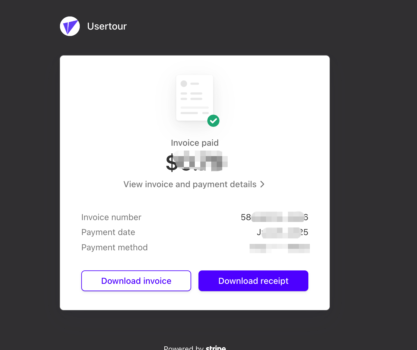 Stripe invoice page — download invoice or receipt