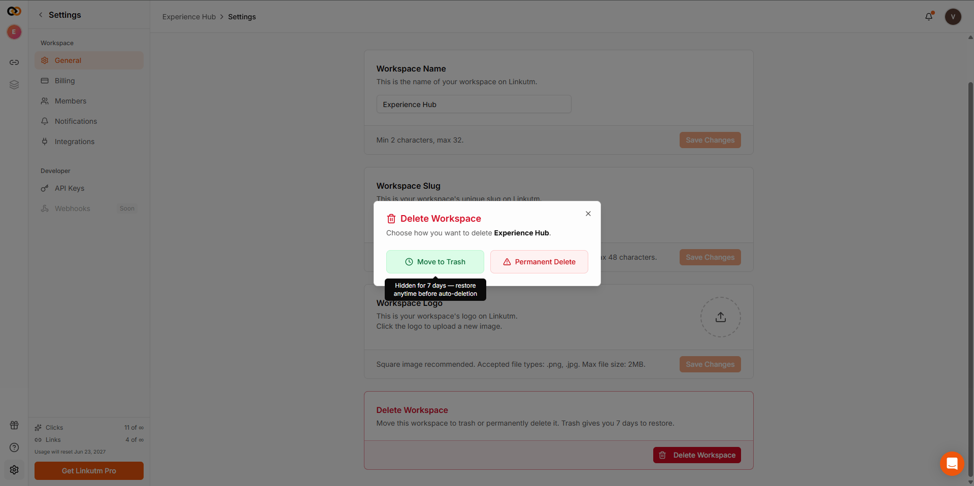 Delete workspace panel showing soft delete and permanent delete options
