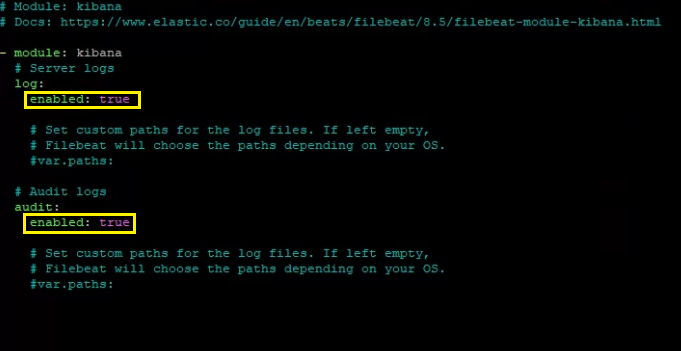 Kibana