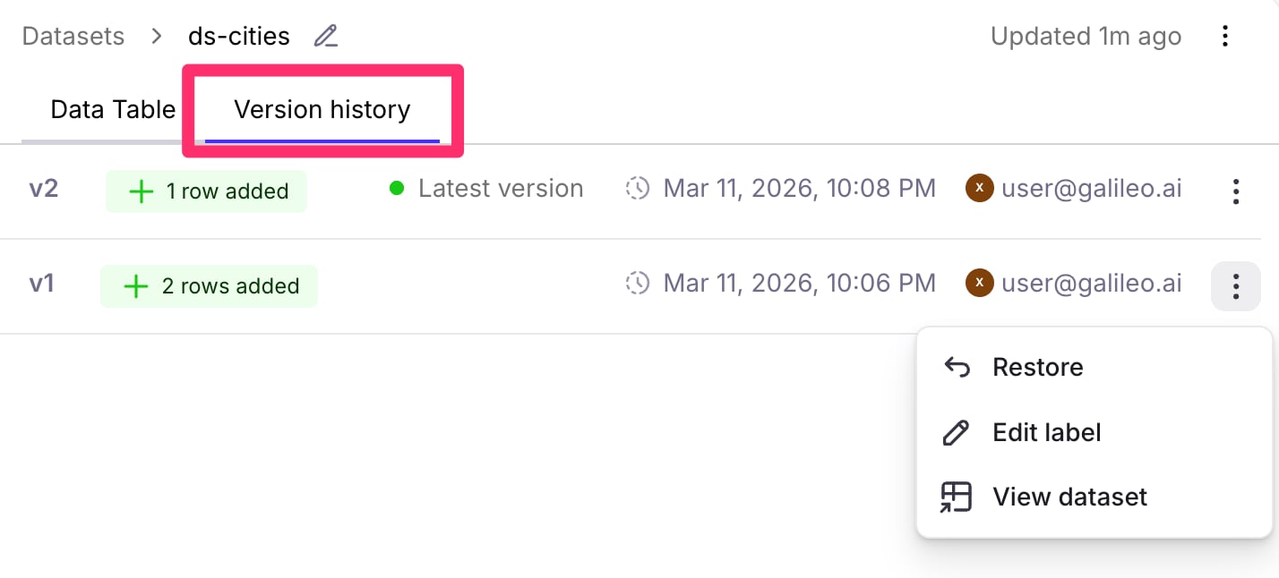 Dataset versions