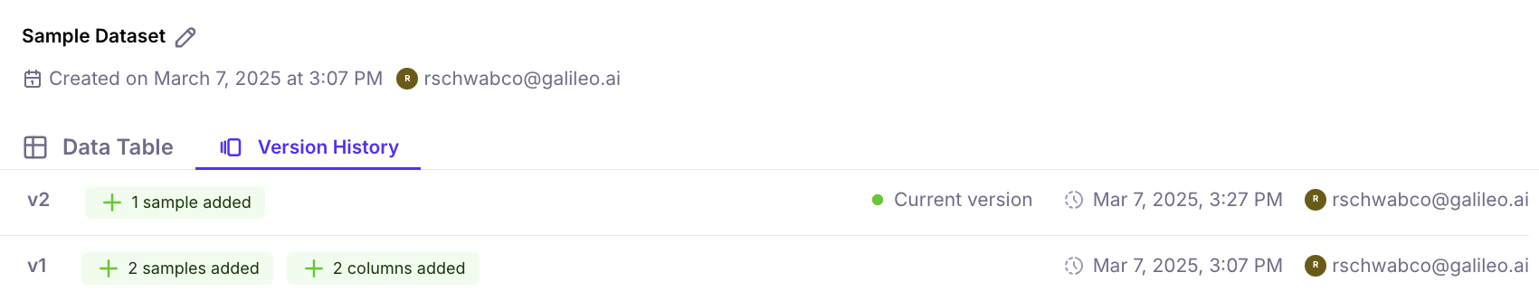 Creating a new version of your dataset