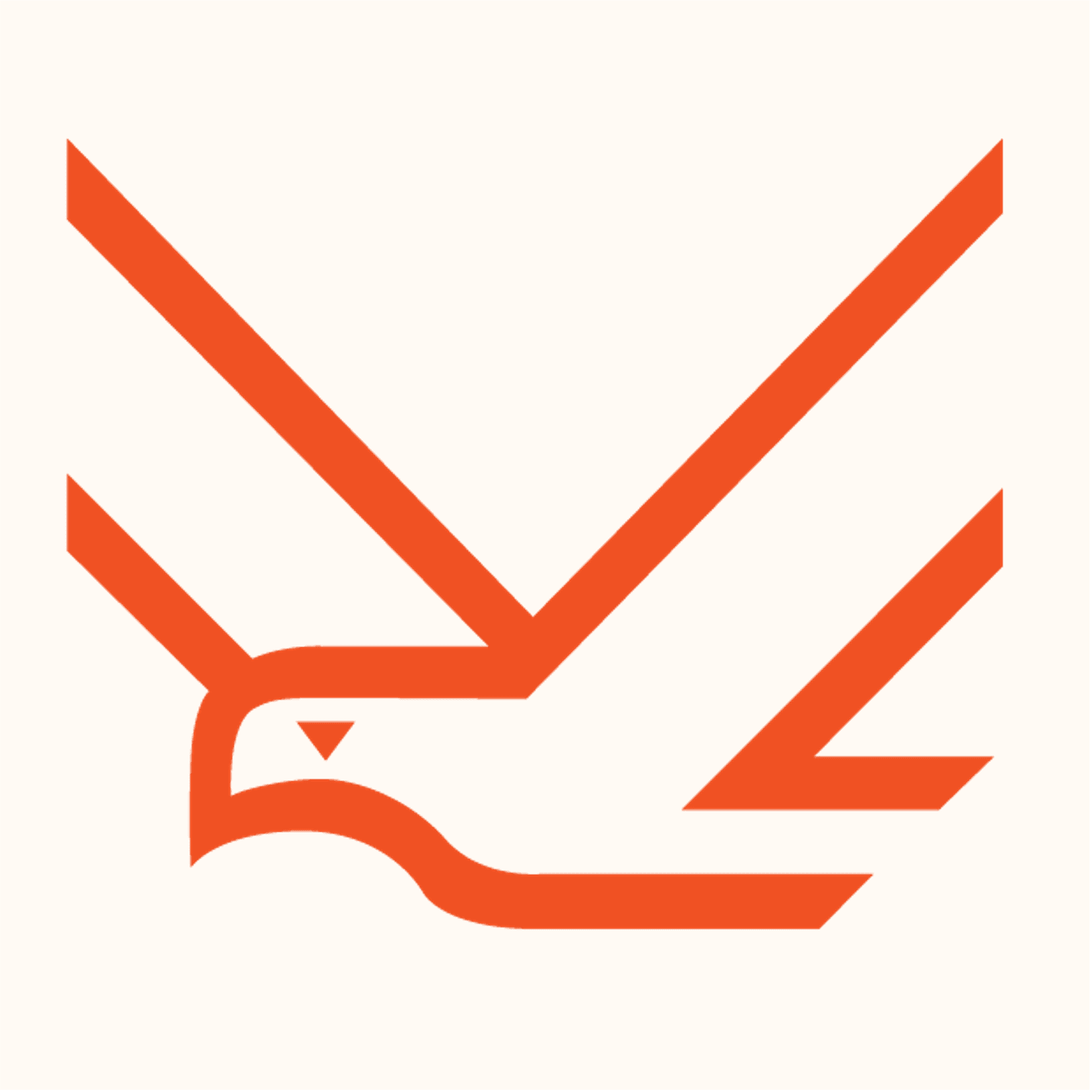 light logo