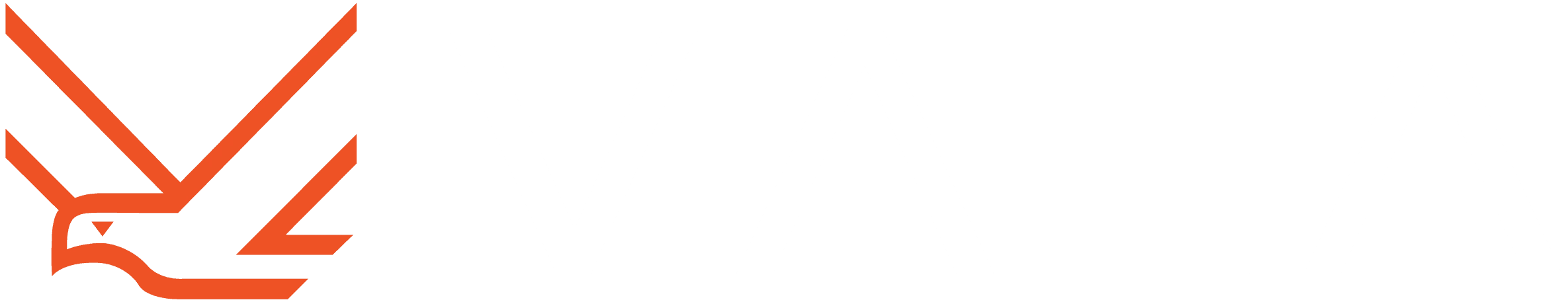 dark logo