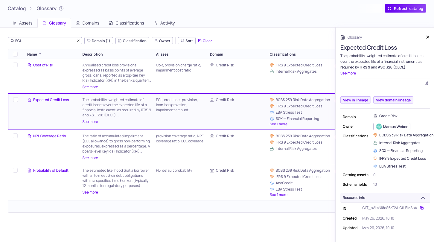 The glossary term sidebar showing the term description, usage statistics, and linked resources