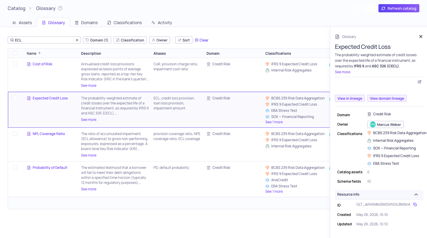 The glossary term sidebar showing the term description, usage statistics, and linked resources