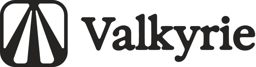 light logo
