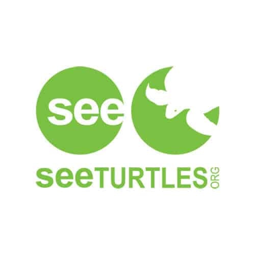 SeeTurtles logo