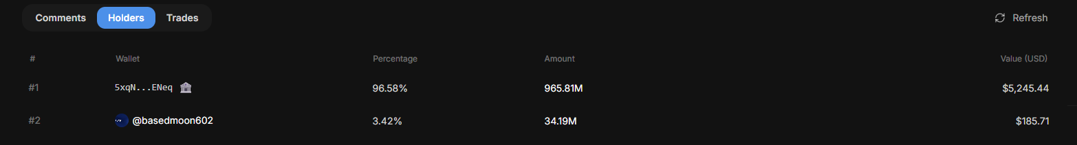 Holders tab showing ranked list of token holders with wallet addresses, percentages, amounts, and USD values