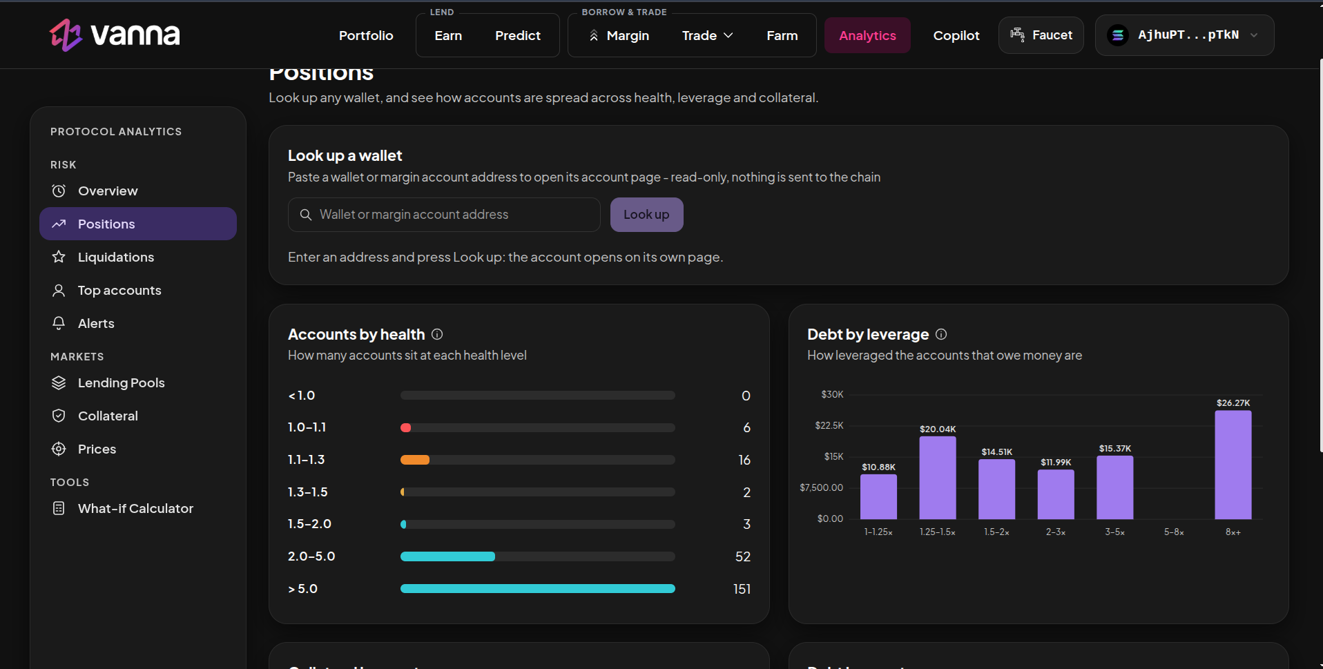 Positions page with a wallet lookup box, accounts by health bars and debt by leverage chart