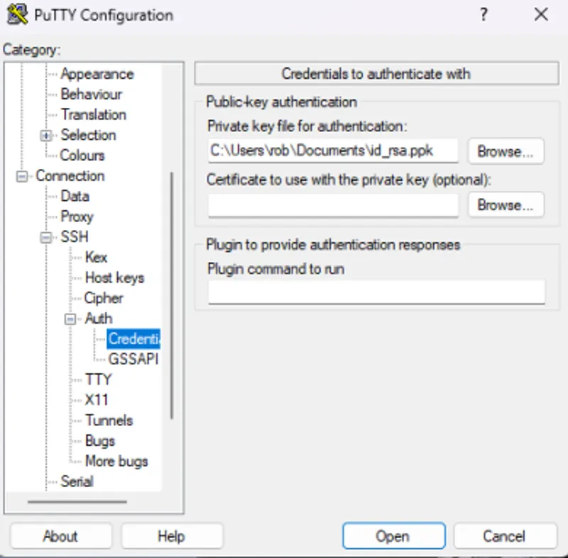 SSH credentials tab