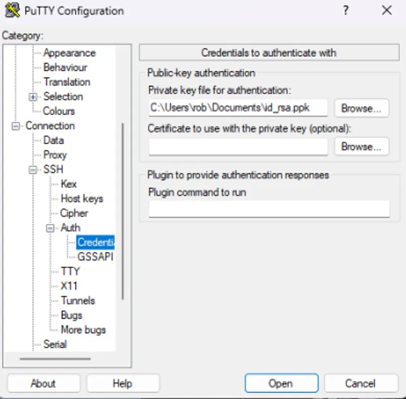 SSH credentials tab