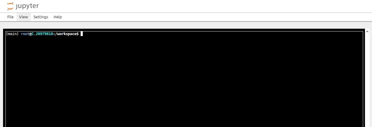 Jupyter Terminal