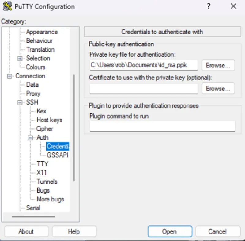 SSH credentials tab