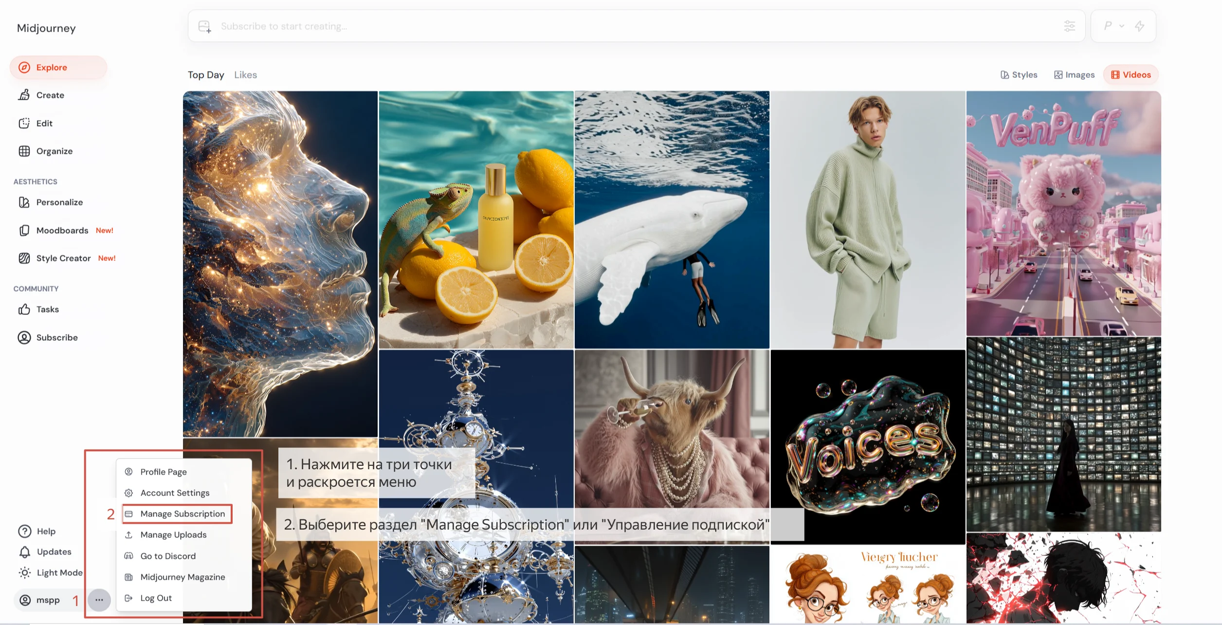 Перейдите в Manage Subscription