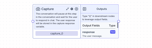 Capture Node - VectorShift