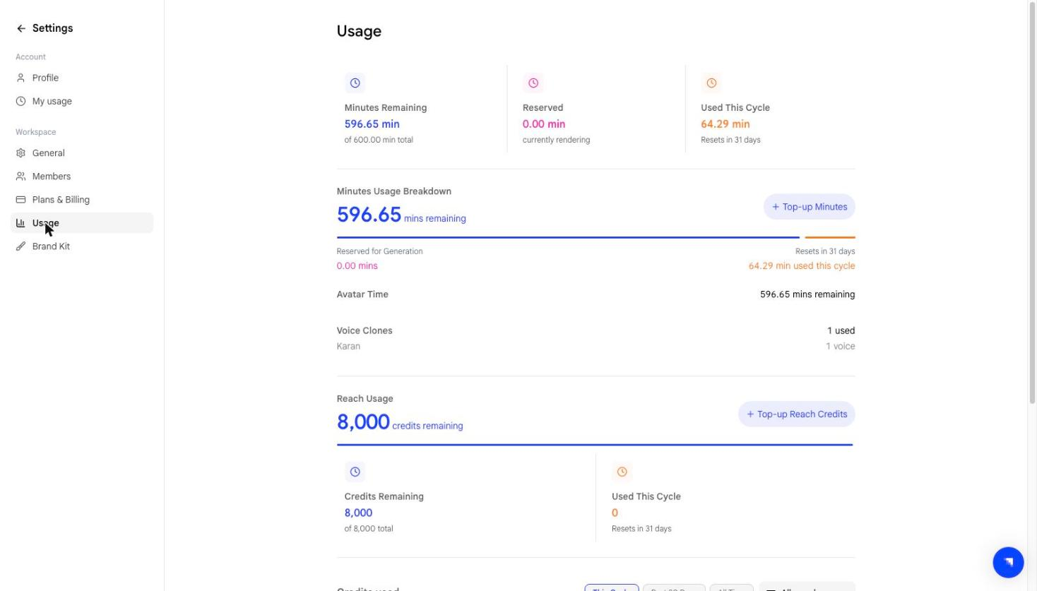Workspace usage dashboard showing minutes and Reach credits