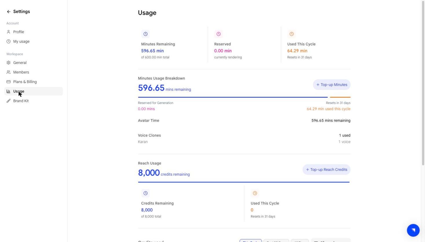 Workspace usage dashboard showing minutes and Reach credits