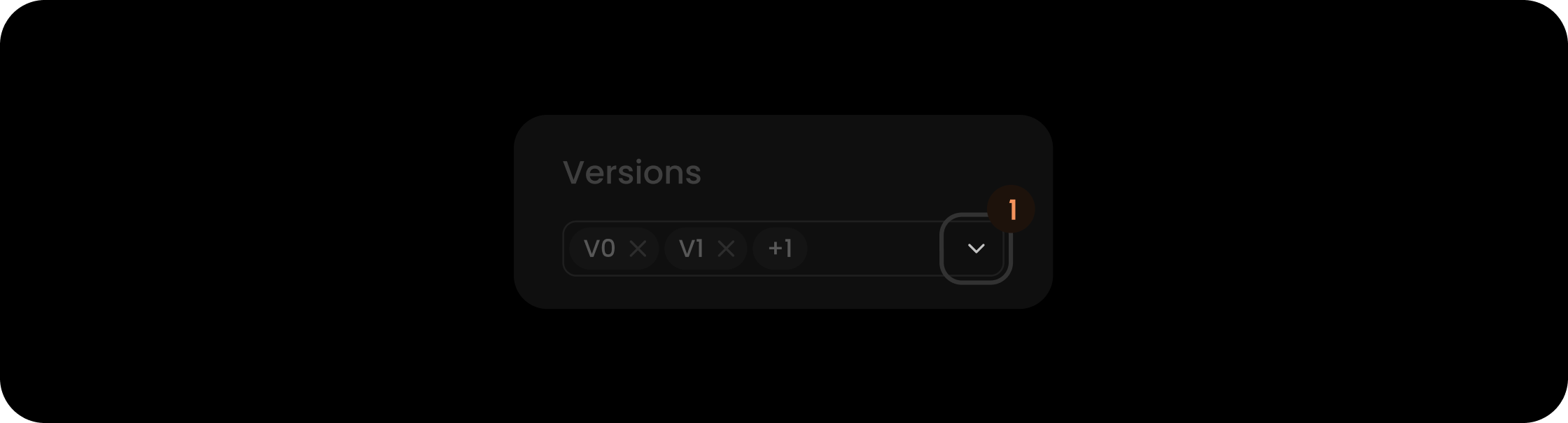 Dropdown icon component within the versions filter search