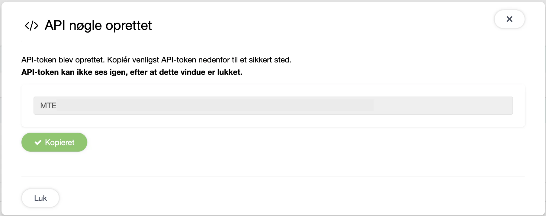API-nøgle oprettet-skærm med kopier-knap