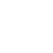 dark logo
